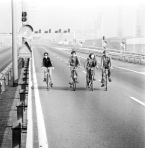 Fietsers op de autosnelweg, Bestanddeelnr 926-8019