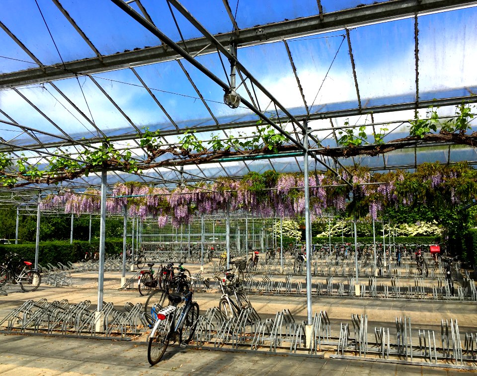 Fietsenstalling VHL