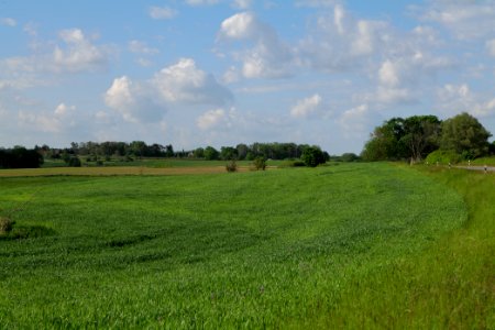 Field in SAC Kronhorst-Groß Fredenwalde 2021-05-29 05