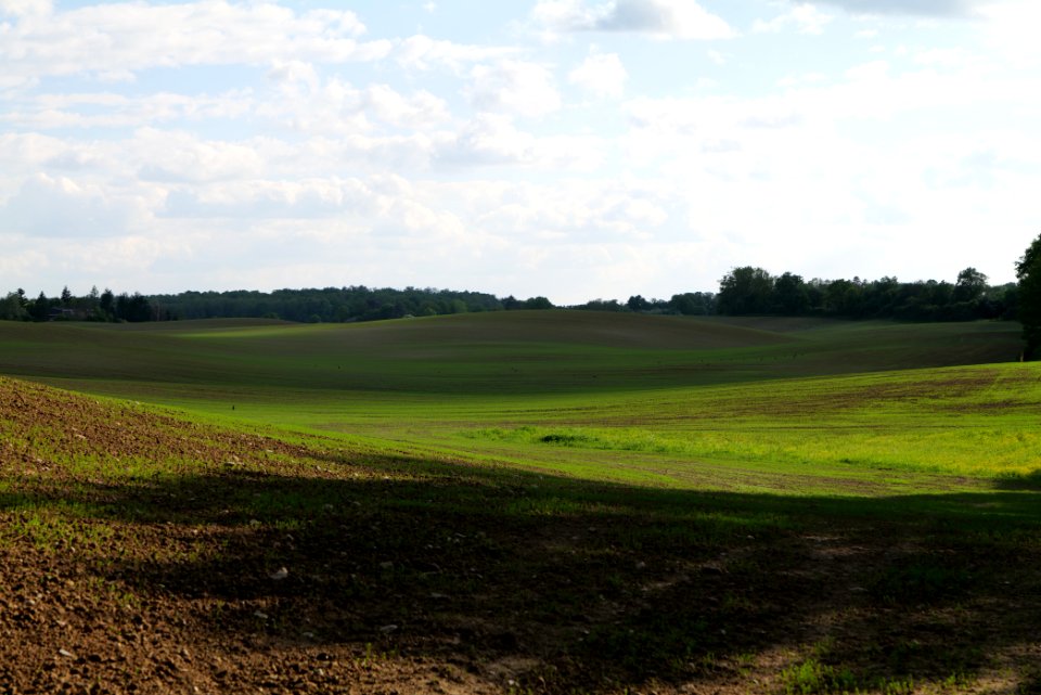Field in SAC Kronhorst-Groß Fredenwalde 2021-05-29 25