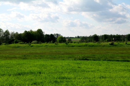 Field in SAC Kronhorst-Groß Fredenwalde 2021-05-29 10