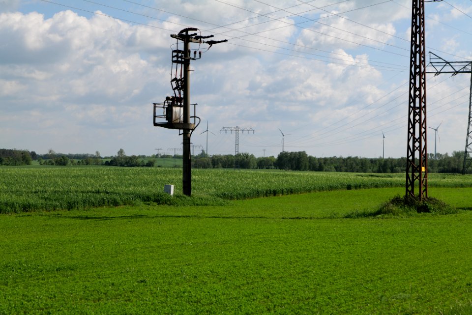 Field in Wichmannsdorf 2021-05-29 16