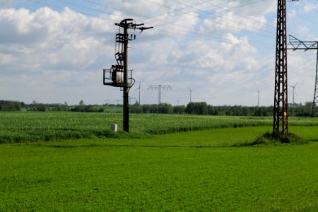 Field in Wichmannsdorf 2021-05-29 16