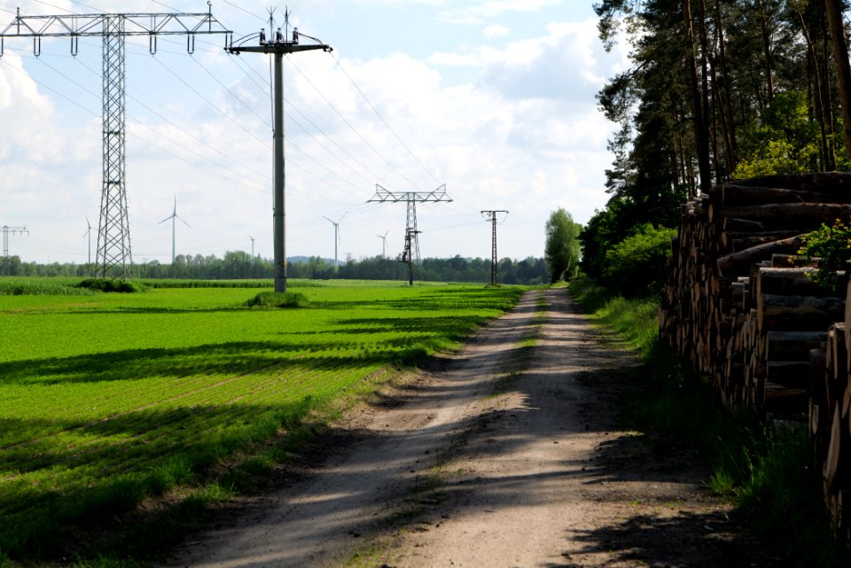 Field in Wichmannsdorf 2021-05-29 11