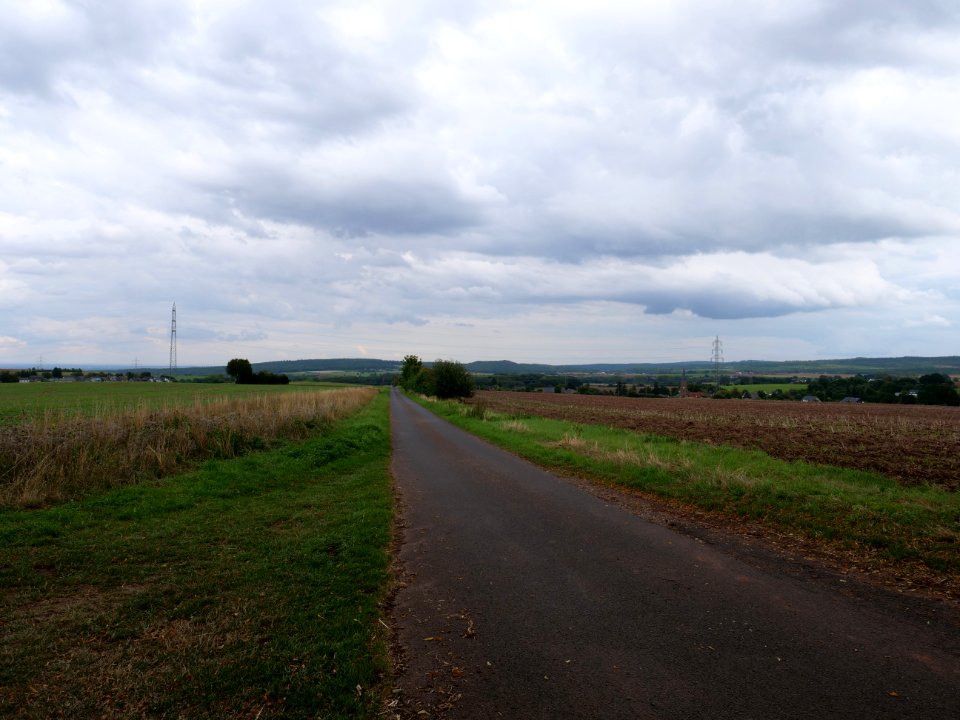 Field near Bergbuir 06
