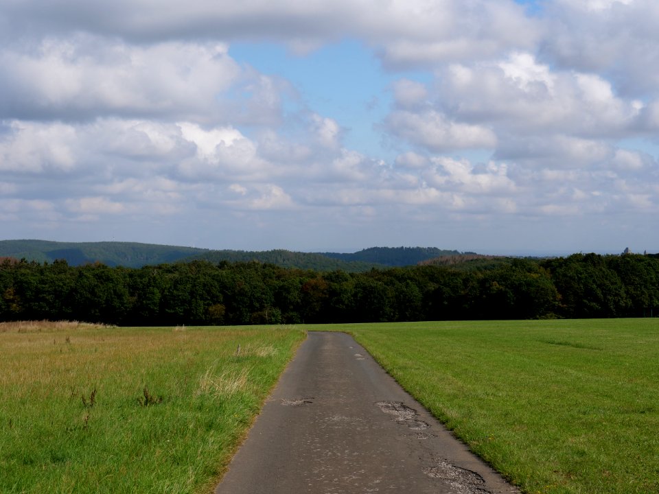 Field near Scheidbaum 07