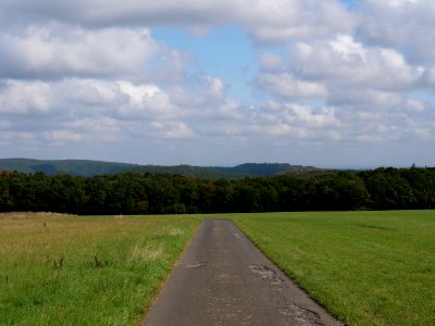 Field near Scheidbaum 07