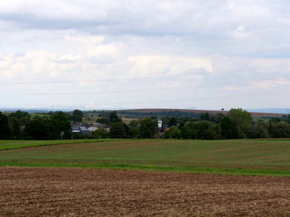 Field near Hergarten 01