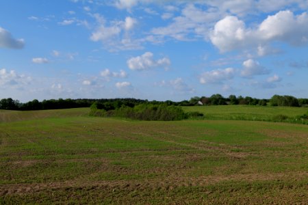 Field in SAC Kronhorst-Groß Fredenwalde 2021-05-29 33