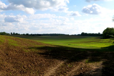 Field in SAC Kronhorst-Groß Fredenwalde 2021-05-29 26