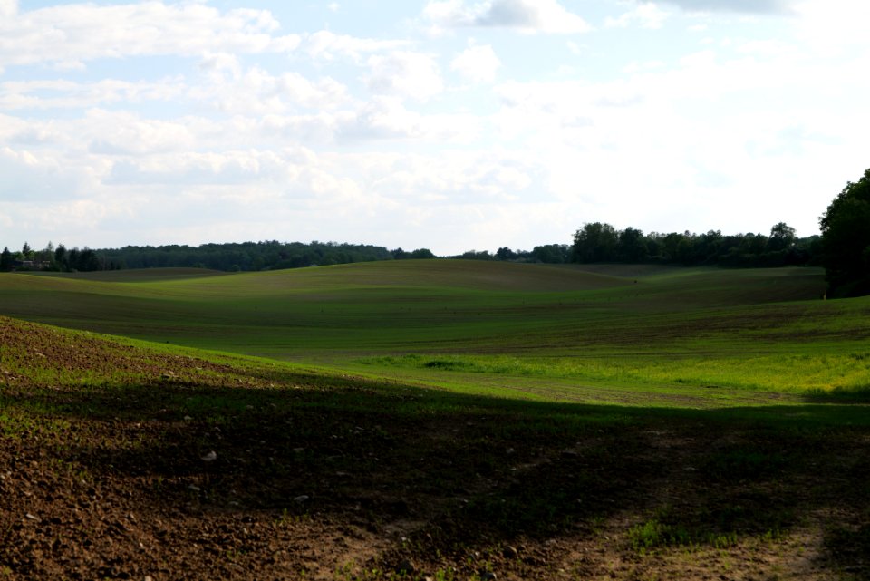 Field in SAC Kronhorst-Groß Fredenwalde 2021-05-29 24