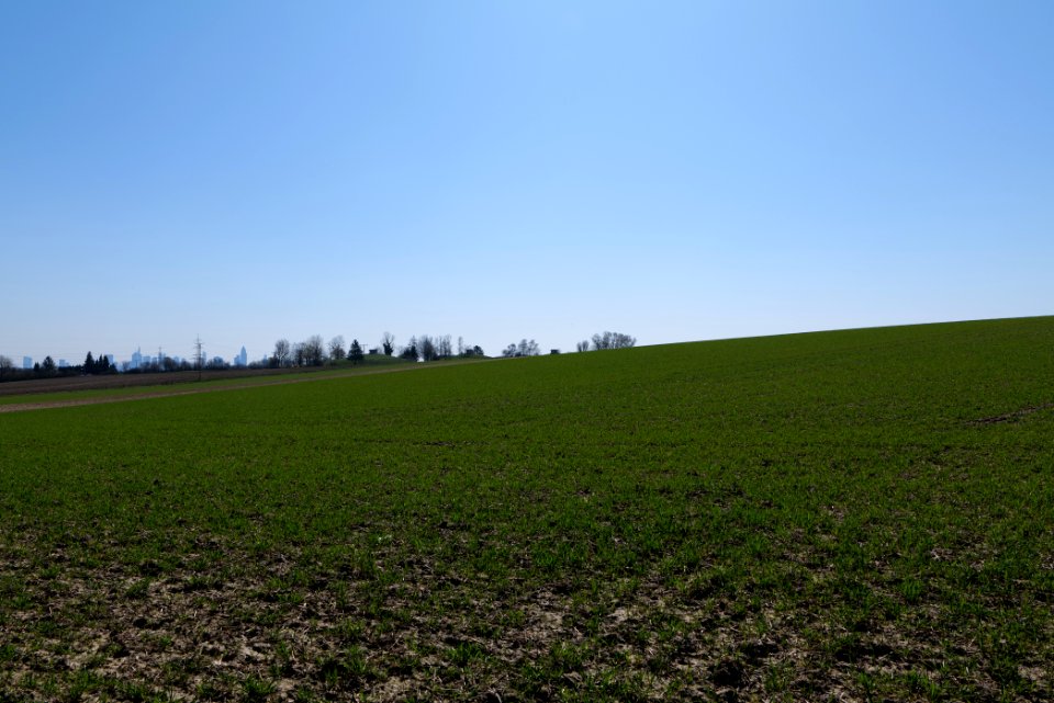 Field near Steinbach 2020-03-25 01