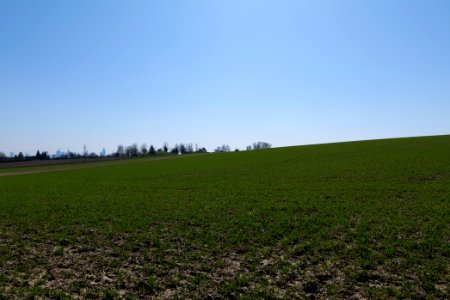 Field near Steinbach 2020-03-25 01
