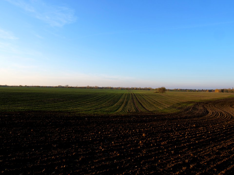 Field Stolpe on 2019-11-11 20