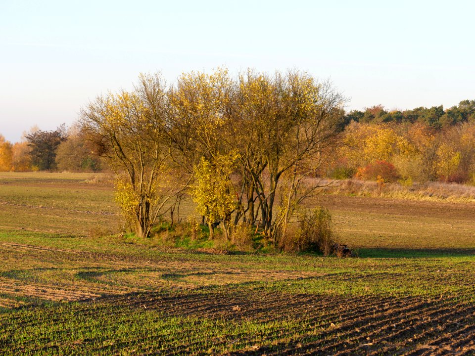 Field Stolpe on 2019-11-11 24