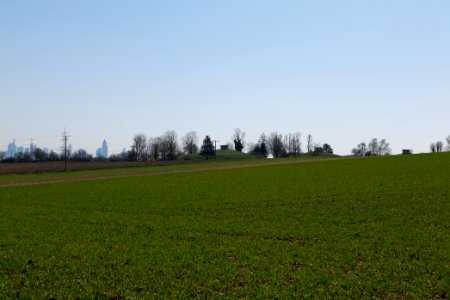 Field near Steinbach 2020-03-25 02
