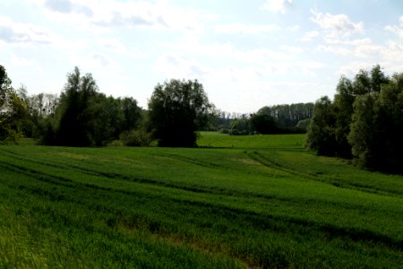 Field in SAC Kronhorst-Groß Fredenwalde 2021-05-29 15