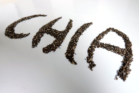 Salvia hispanica roughage omega-3 fatty acids