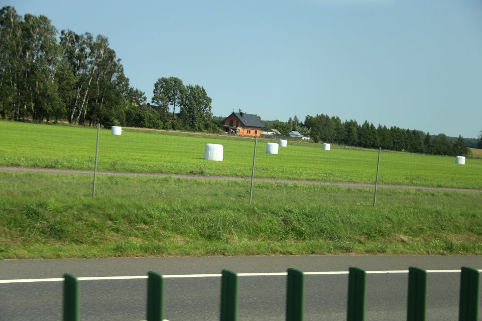 Field near Zambrow, Podlaskie Voivodeship august 2018