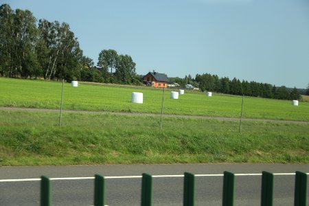 Field near Zambrow, Podlaskie Voivodeship august 2018