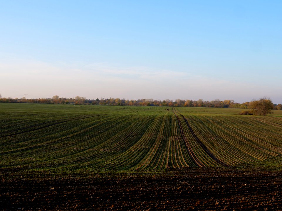 Field Stolpe on 2019-11-11 21