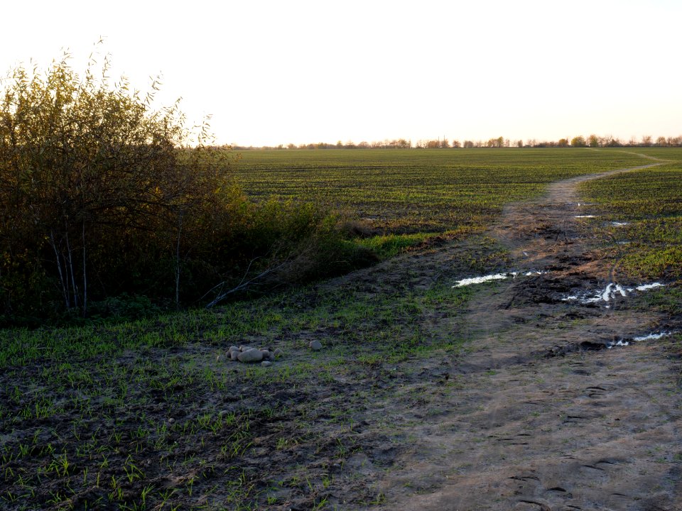 Field Stolpe on 2019-11-11 27