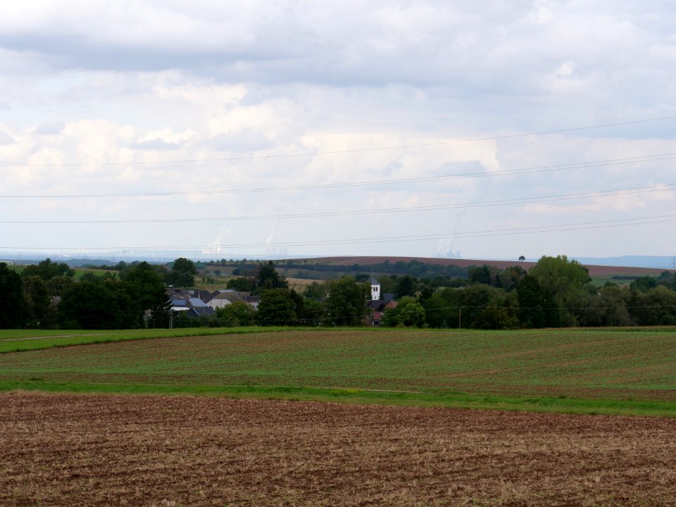 Field near Hergarten 02