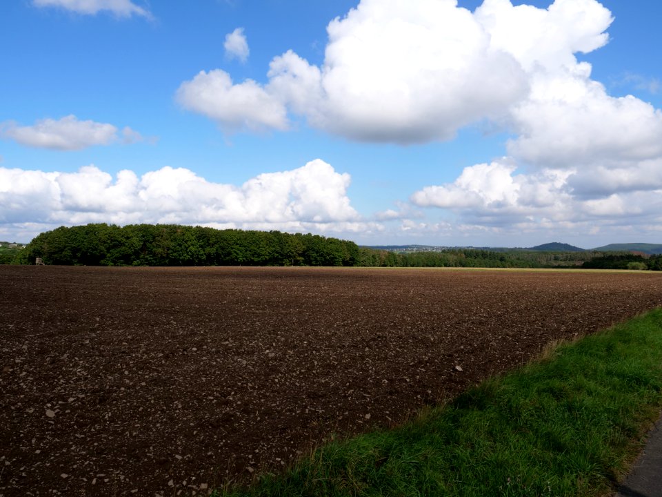 Field near Scheidbaum 04