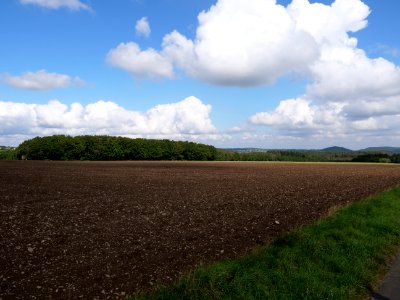 Field near Scheidbaum 04