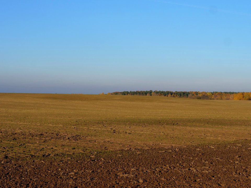 Field Stolpe on 2019-11-11 13