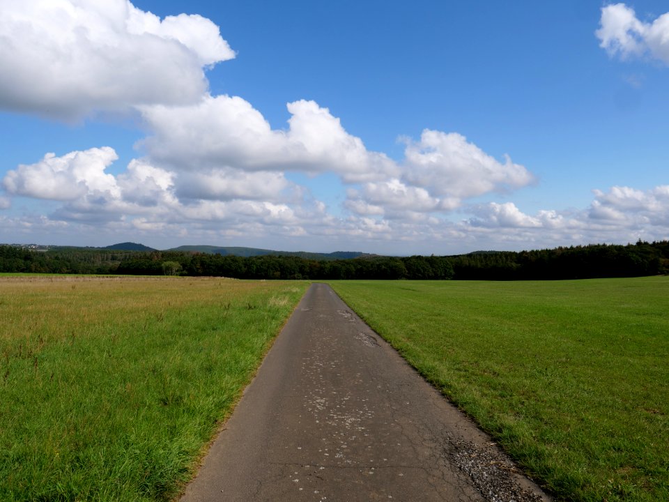 Field near Scheidbaum 06