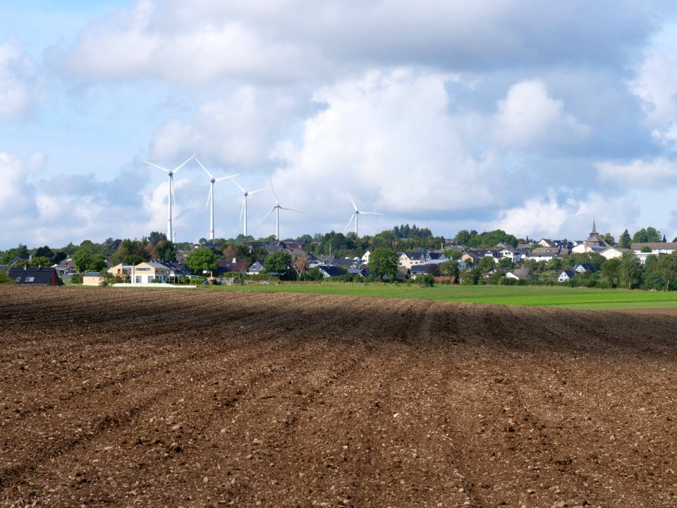 Field near Scheidbaum 02