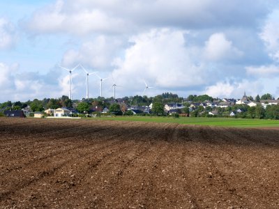 Field near Scheidbaum 02