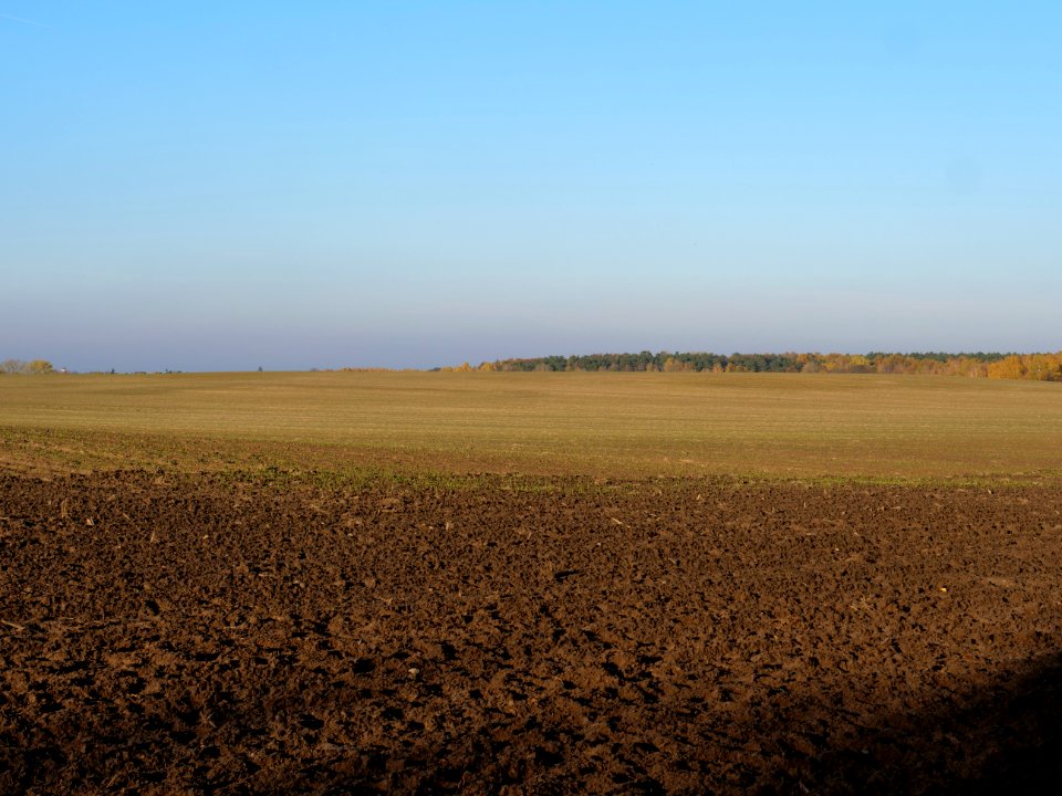 Field Stolpe on 2019-11-11 06
