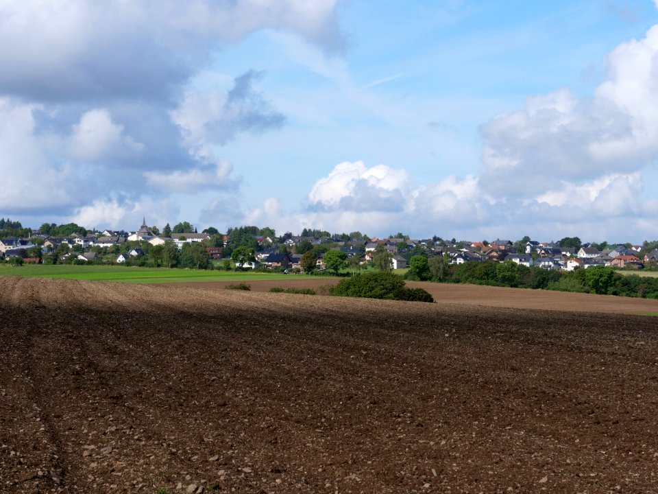 Field near Scheidbaum 03