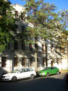Fichtestraße 45