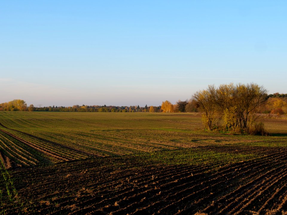 Field Stolpe on 2019-11-11 25