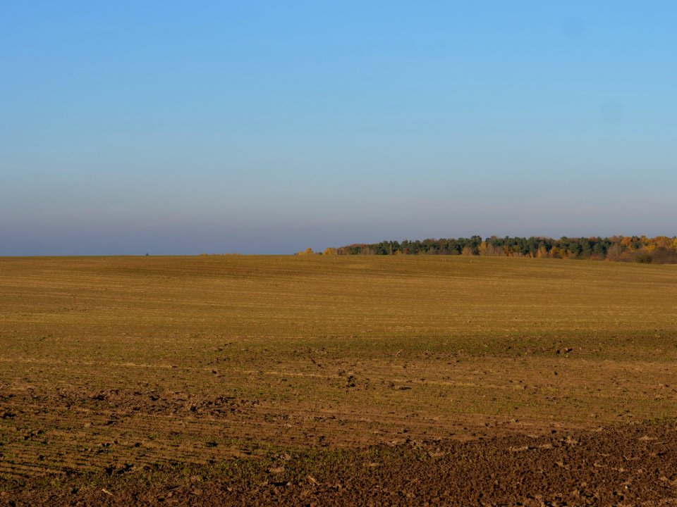 Field Stolpe on 2019-11-11 15