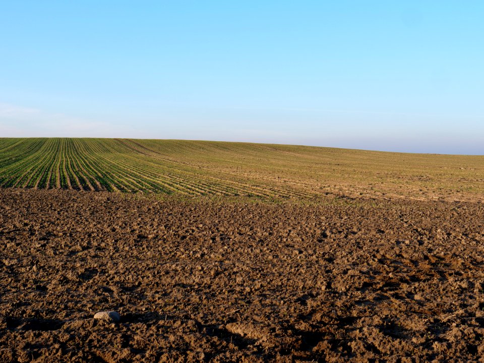 Field Stolpe on 2019-11-11 18
