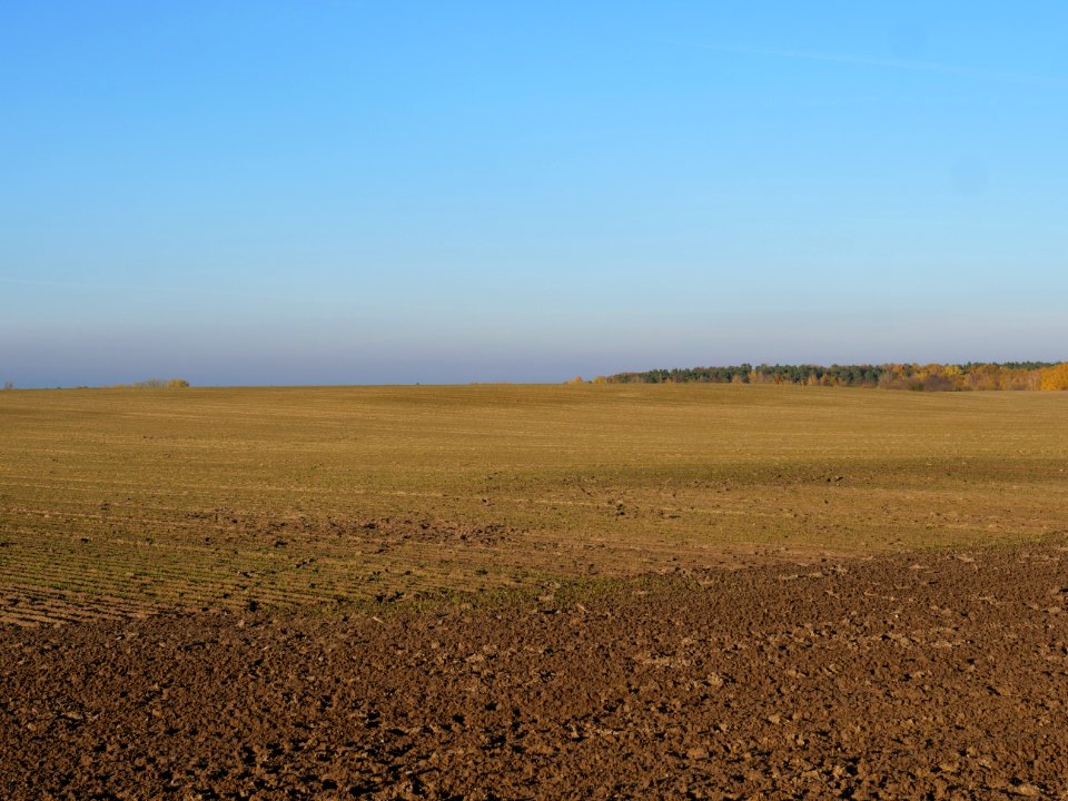 Field Stolpe on 2019-11-11 17