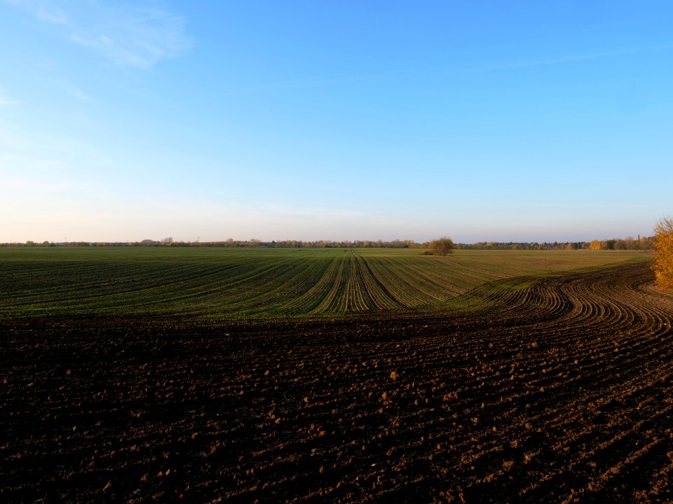 Field Stolpe on 2019-11-11 22