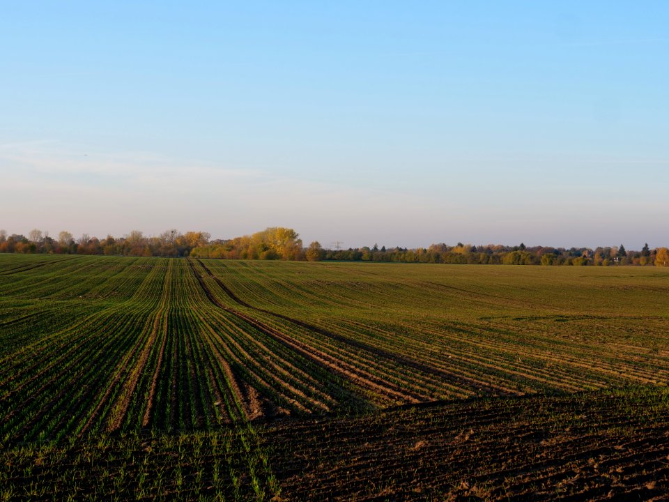 Field Stolpe on 2019-11-11 23
