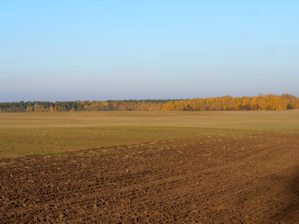 Field Stolpe on 2019-11-11 01