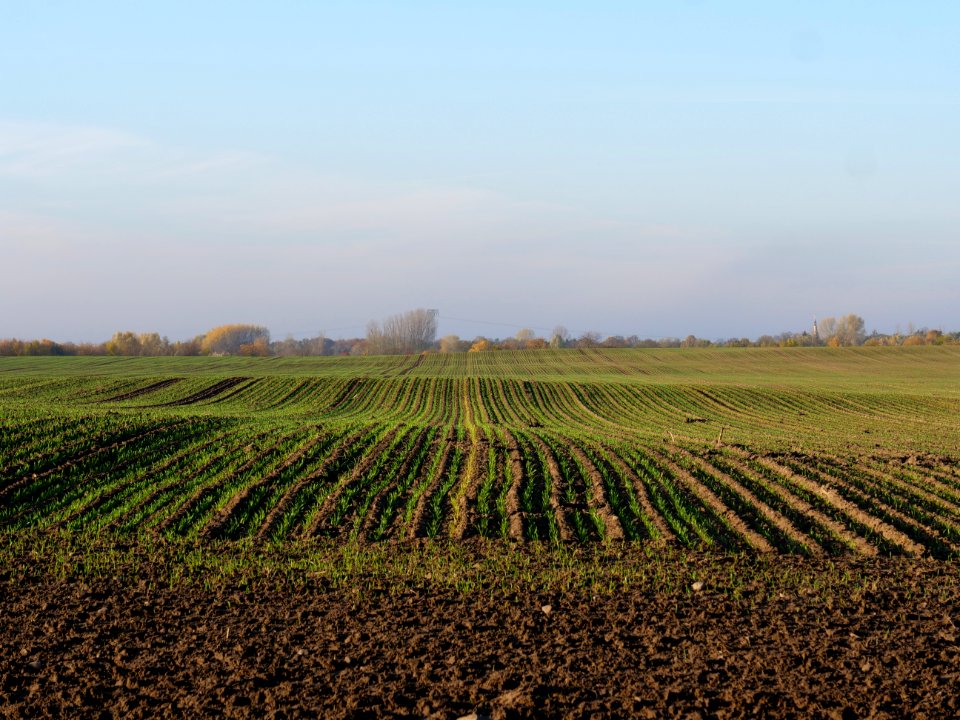 Field Stolpe on 2019-11-11 08