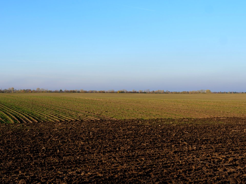 Field Stolpe on 2019-11-11 04