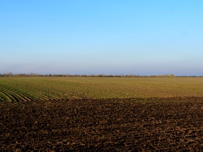 Field Stolpe on 2019-11-11 04