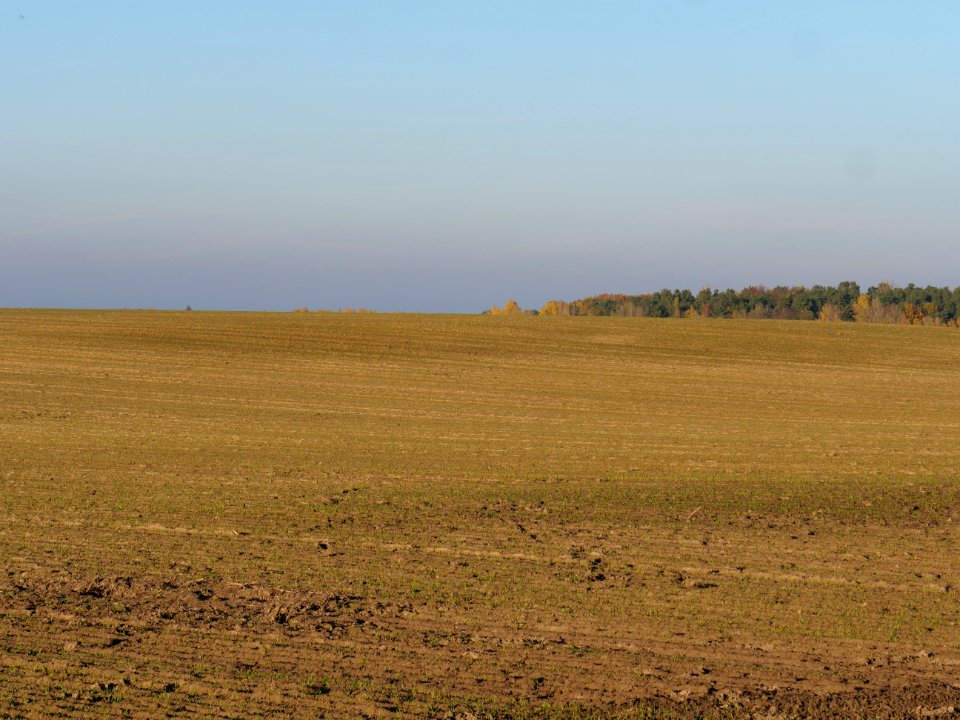 Field Stolpe on 2019-11-11 12