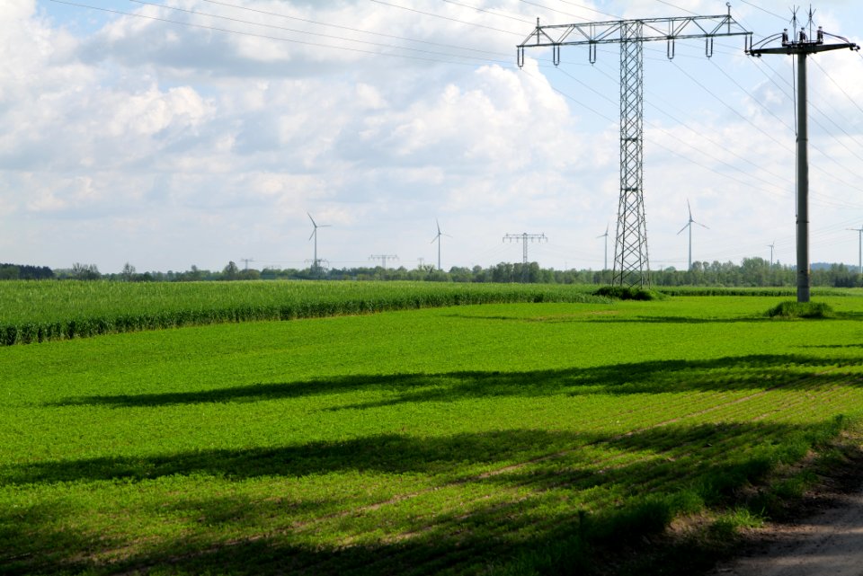 Field in Wichmannsdorf 2021-05-29 07