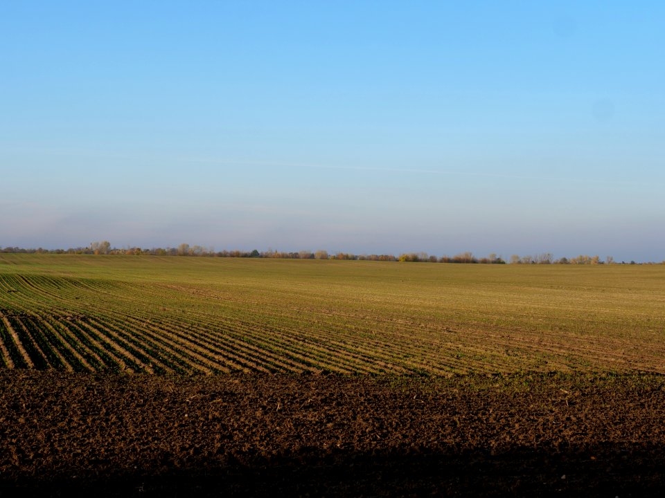 Field Stolpe on 2019-11-11 11