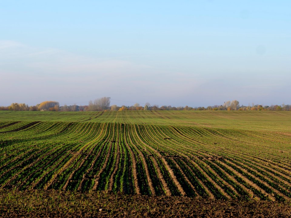 Field Stolpe on 2019-11-11 10
